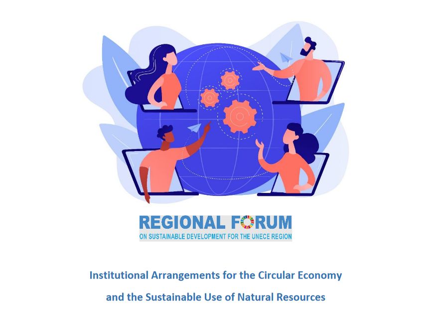 Institutional Arrangements for the Circular Economy and the Sustainable Use of Natural Resources